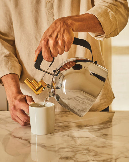 Whistling Kettle 2 L (9091)
